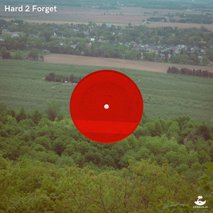hard 2 forget by Alice Oh