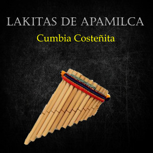 Lakitas de Apamilca poster
