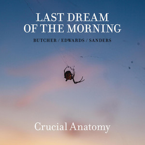 Crucial Anatomy (Live) — Last Dream of the Morning