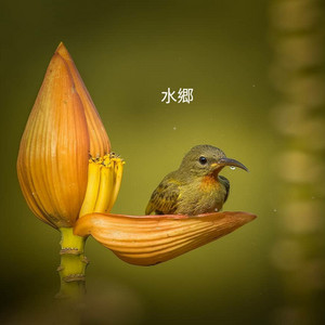水郷