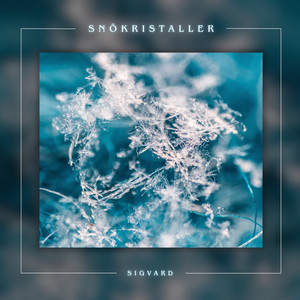 Snökristaller by Sigvard