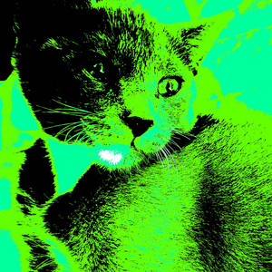 Luan - Revivan El Perreo (feat. Santoryu)