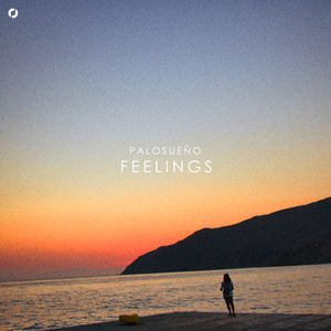 Feelings by Pablo Leo