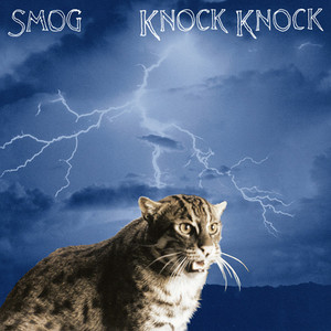 Knock Knock cover