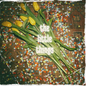 The Little Things by We Like Birds