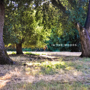 In the Woods by Haruko