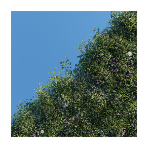 Beyond by Anthesis