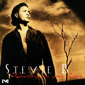 Stevie B - Dream About You