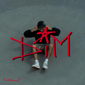 D.I.M