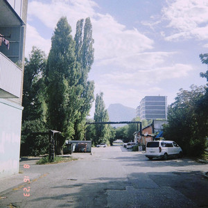 TAPE021.peonies by belamore