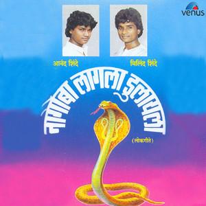 Nagoba Lagla Dulayala album