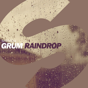 Raindrop (radio edit) cover art