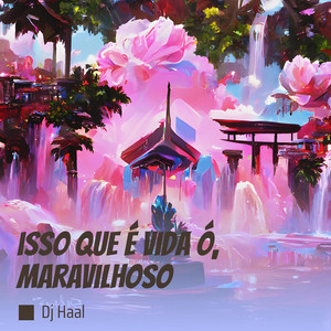 DJ Haal - Isso Que É Vida Ó, Maravilhoso