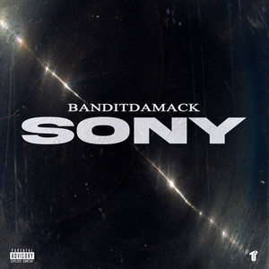Sony by Banditdamack