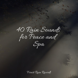 40 Rain Sounds for Peace and Spa album