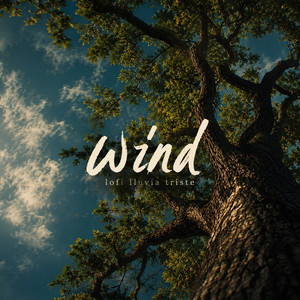 wind by lofi lluvia triste