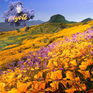 Portada de peyote