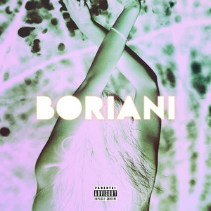 BORIANI — BORIANI