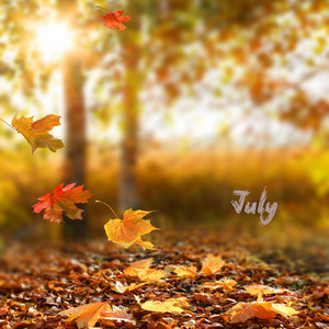 July - Autumn