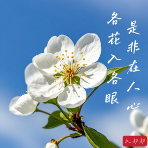 禾初初 - 各花入各眼 是非在人心 (伴奏)