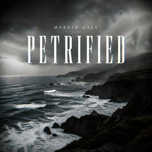 Petrified by Marvin Gale