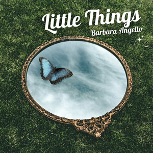 Little Things by Barbara Angello