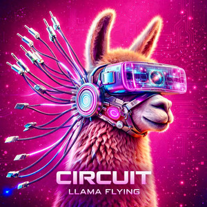 CIRCUIT by LLAMA FLYING