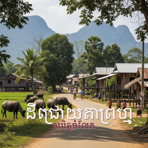 PlovTmey - ដីជ្រោយតាព្រហ្ម