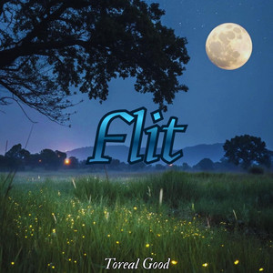 Flit by Toreal good