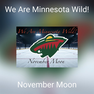 We Are Minnesota Wild! by November Moon