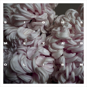 Porcelain (Ideal) by Sigha
