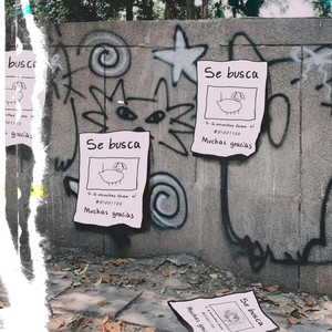 Se busca by pablo morfeo