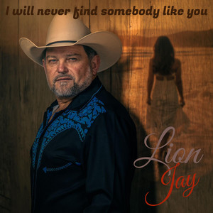 I will never find somebody like you by Lion Jay