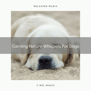 Calming Nature Whispers For Dogs album