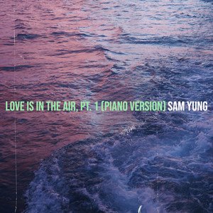 Love Is In The Air, pt. 1 (Piano Version) by Sam Yung