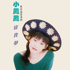 マレイシアの福建シンガー小鳳鳳「新年鑼鼓」日本盤 Xiao Feng Feng (Tong Xin) / 小鳳鳳(童欣) - 今年大發財– NEONMUSIC