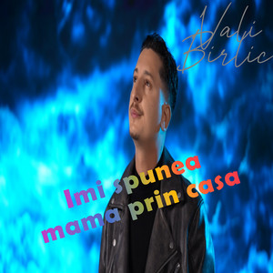 Vali Birlic - Imi Spunea Mama Prin Casa