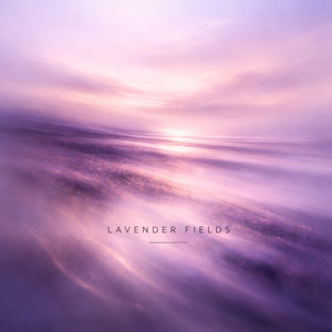 Lavender Fields by Zacharin Whitestone