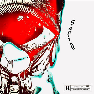 Portada de Sanity