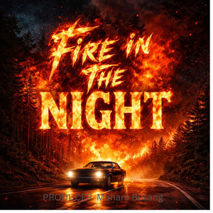 Fire in the Night by Spox