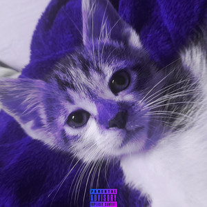 My Cat Made a Phonk by Bgnzinho