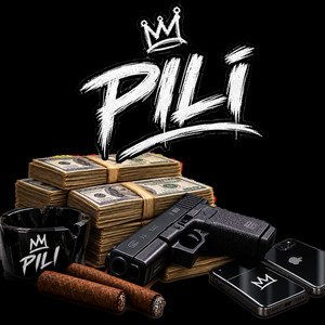 PILI by Dj system