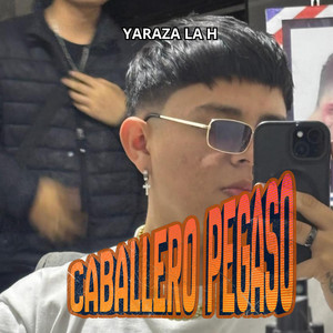 CABALLERO PEGASO by YARAZA LA H