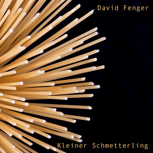 Kleiner Schmetterling by David Fenger