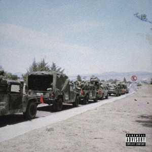 10 Mil Rifles