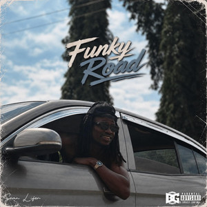 Funky Road by Sean Lifer