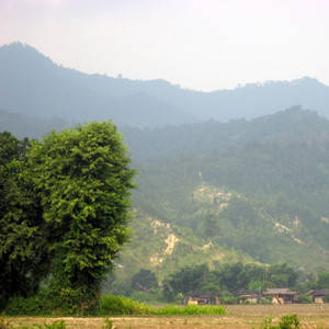 Bihanai uthi by Vishwanath 'Prem', Rajina Rimal