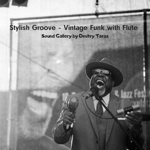 Sound Gallery by Dmitry Taras - Stylish Groove - Vintage Funk with Flute