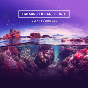 Calming Ocean Sound