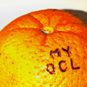 my OCL by PCR